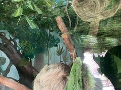-杭州野生动物世界