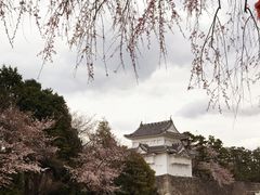 -名古屋城