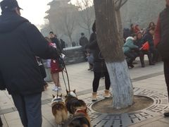 -东华门大街小区