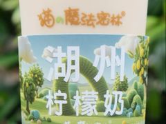 -猫的魔法密林(衣裳街店)