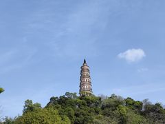 -顺峰山公园