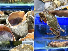 -小铜锣湾海鲜家常菜馆(河西店)