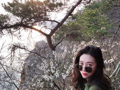 -燕窝岭