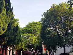 -南岳衡山风景名胜区-南岳大庙