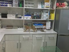 -美联众合宠物医院·爱萌分院·内外科·猫科中心