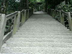 -云碧峰国家森林公园