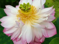 -南戴河国际娱乐中心