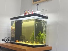 -会麦二手奢侈品包包手表回收寄卖(八佰伴店)