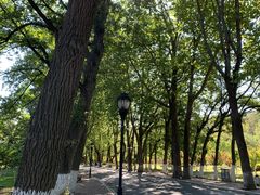 -棒棰岛宾馆景区