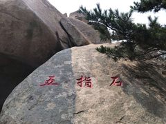 -崂山仰口游览区