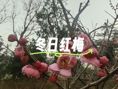 -渭滨公园