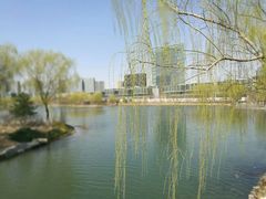 -大兴滨河森林公园