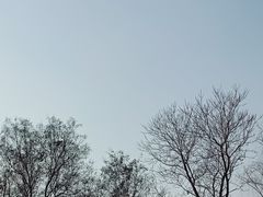 -文瀛公园