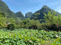 -靖西鹅泉风景区