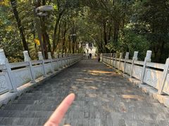 -老君山