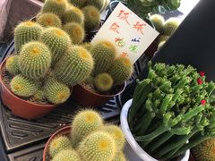 -莫内艺术岛海景咖啡