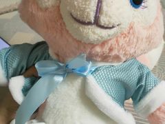 -PAWTOY爪e玩偶店(天兴罗斯福店)