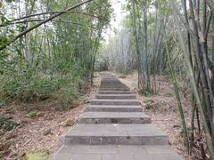-羚羊峡古栈道森林公园