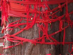 -青檀寺景区