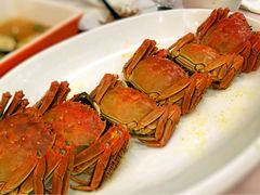 -同里湖大饭店-怡景轩中餐厅(同里古镇店)