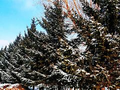 -长春公园(普阳街道)