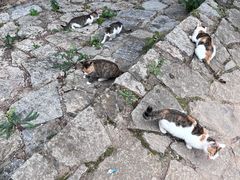 -四门塔风景区