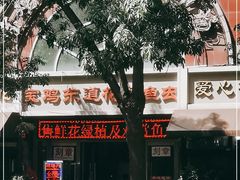 -宝鸡东道花鸟鱼虫市场(吉利花园商场店)