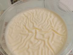 招牌双皮奶-恒信牛奶甜品(南京总店)