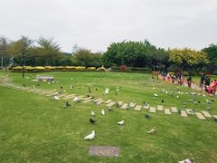 -白鹭洲公园