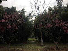 -堤角公园