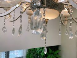 -苗医生草本科技祛痘