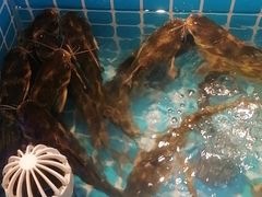 -焰江山海鲜牛排烤肉自助(锦华万达二星店)