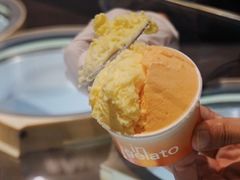 -DIP in GELATO(富民路店)