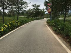 -光明小镇欢乐田园