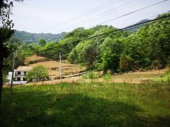 -王顺山国家森林公园