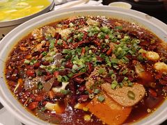 -赵小犇·江湖川菜馆