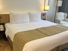 -新加坡良木园酒店