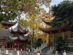 -上海东林寺(金山区)