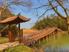 -沙家浜风景区