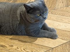 -Me Coffee下午茶艺术空间