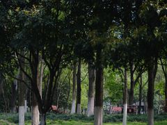 -后襄河公园