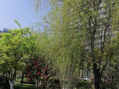 -龙湖杭州滨江天街