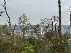-青龙山国家森林公园