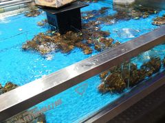 -盒马鲜生(领丰汇店)
