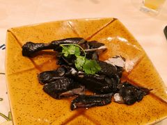 药膳鸡-沙龙酒家