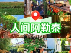 -金山嘴渔村