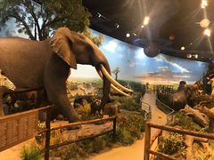 -陕西自然博物馆