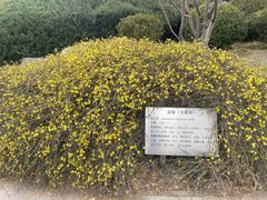 -丰台花园