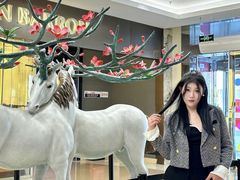 -红星美凯龙北京至尊MALL(东四环中路店)