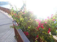 -巴厘岛乌鲁瓦图安纳塔拉度假酒店